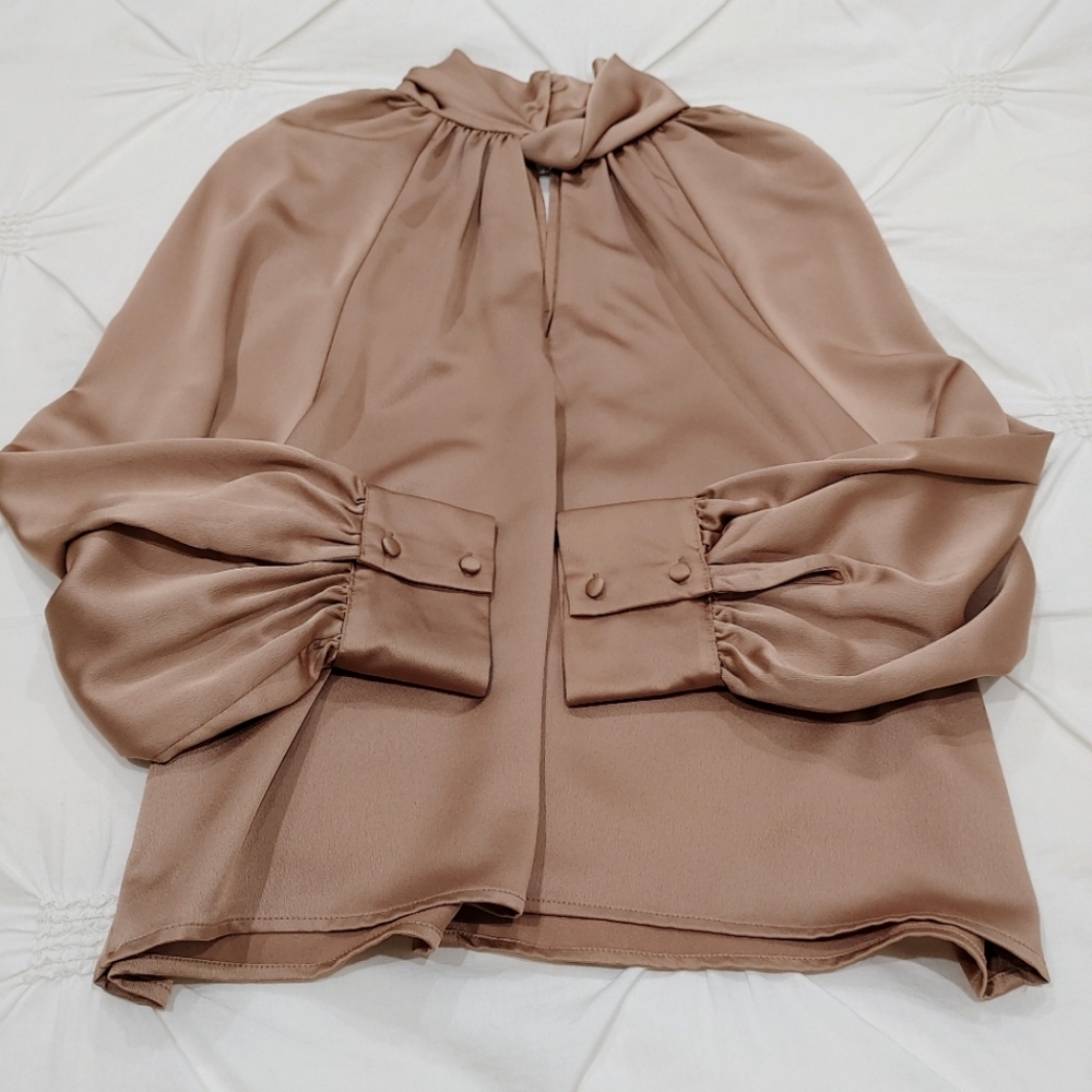 Zara satin champagne bronze long sleeve blouse with buttons. Size S